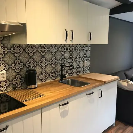 House Milou Private Parking Zandvoort